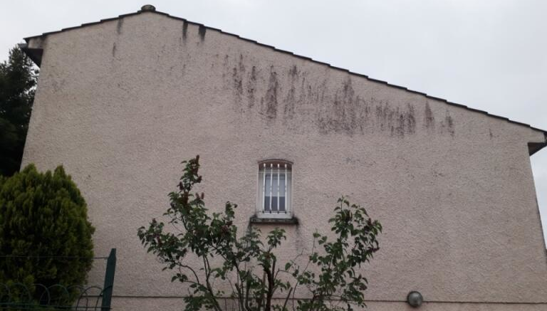 nettoyage façade avant
